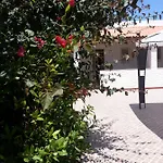 Agave Lampedusa